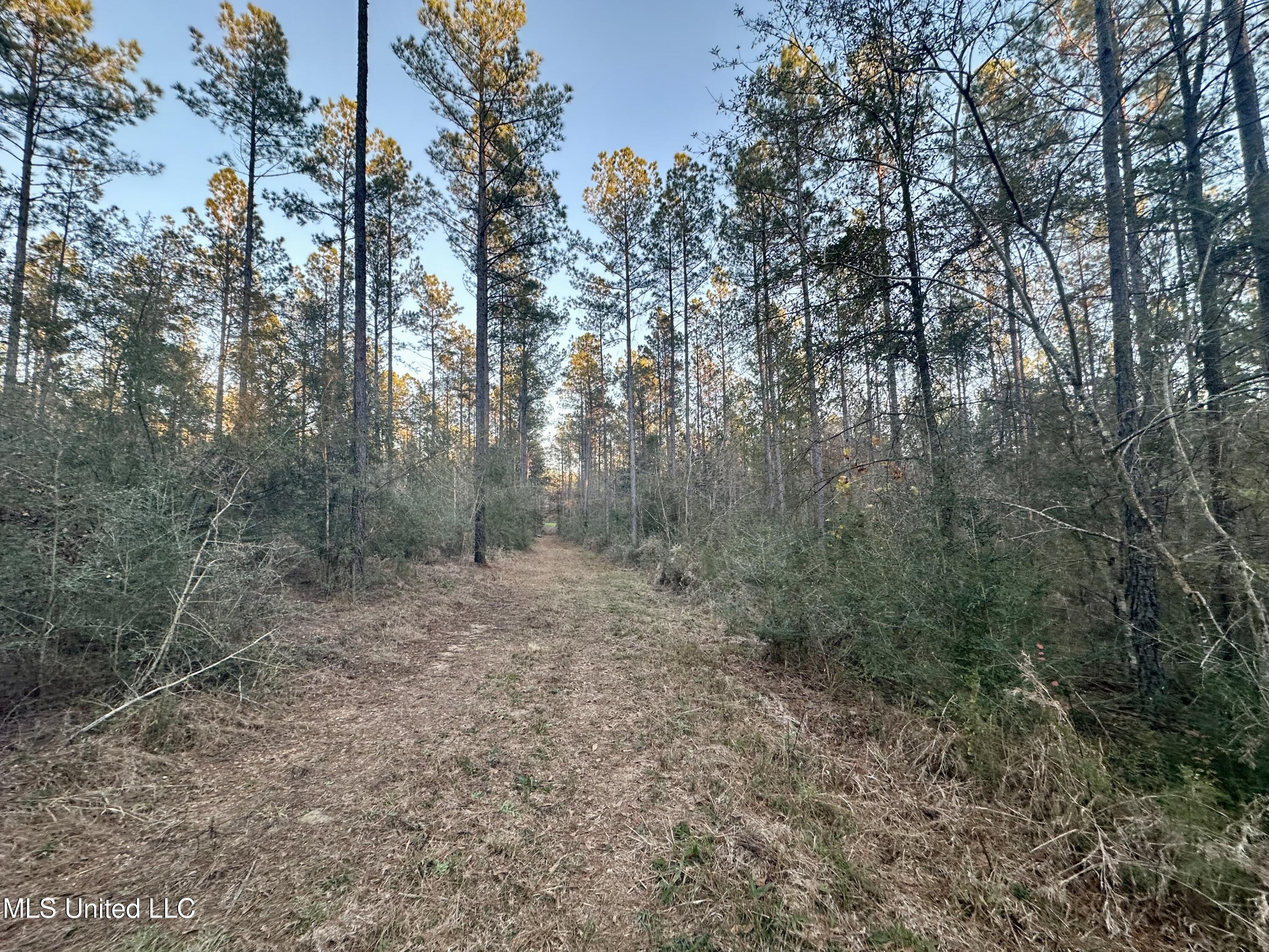 0 Monticello Road Wesson, MS 39191 - Photo 2 of 9 Photo Dec 09 2025, 4 31 52 PM