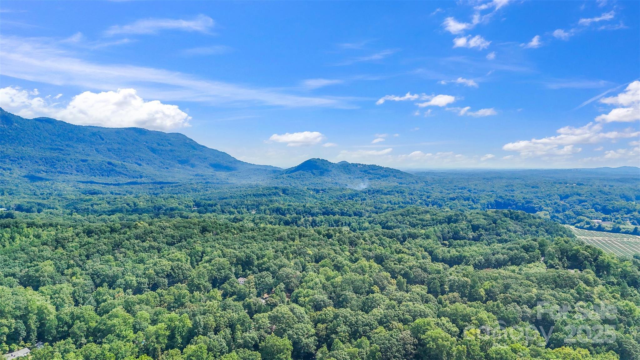 110 Vineyard Road Tryon, NC 28782 - Photo 3 of 20 a view of a lush green forest with mountains in the background
