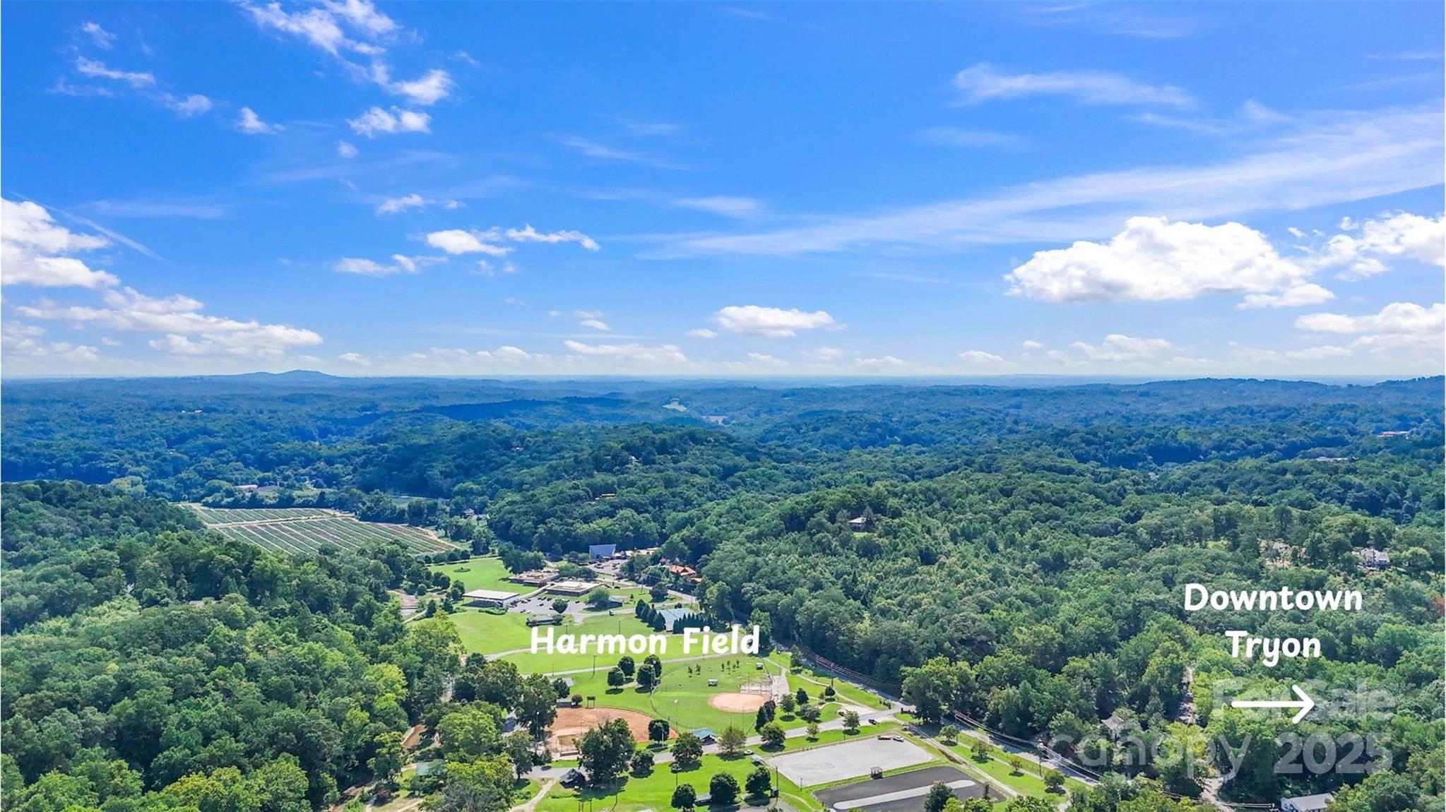 110 Vineyard Road Tryon, NC 28782 - Photo 8 of 20 a view of a garden with a building in the background