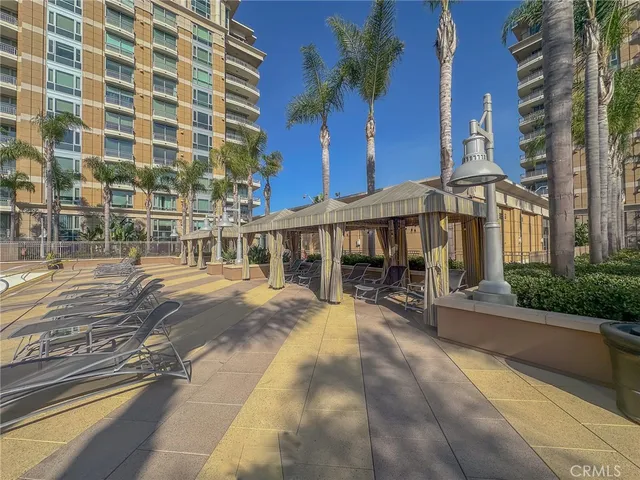 a view of a yard with plants and trees
