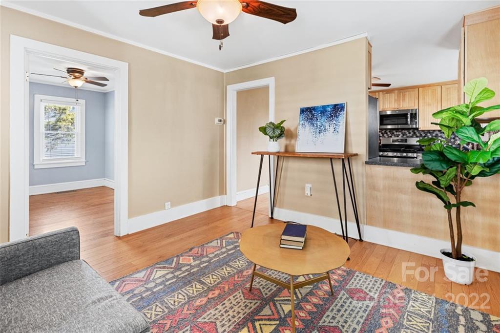60 Shiloh Road Asheville, NC 28803 - Photo 4 of 13 a living room with furniture and a potted plant