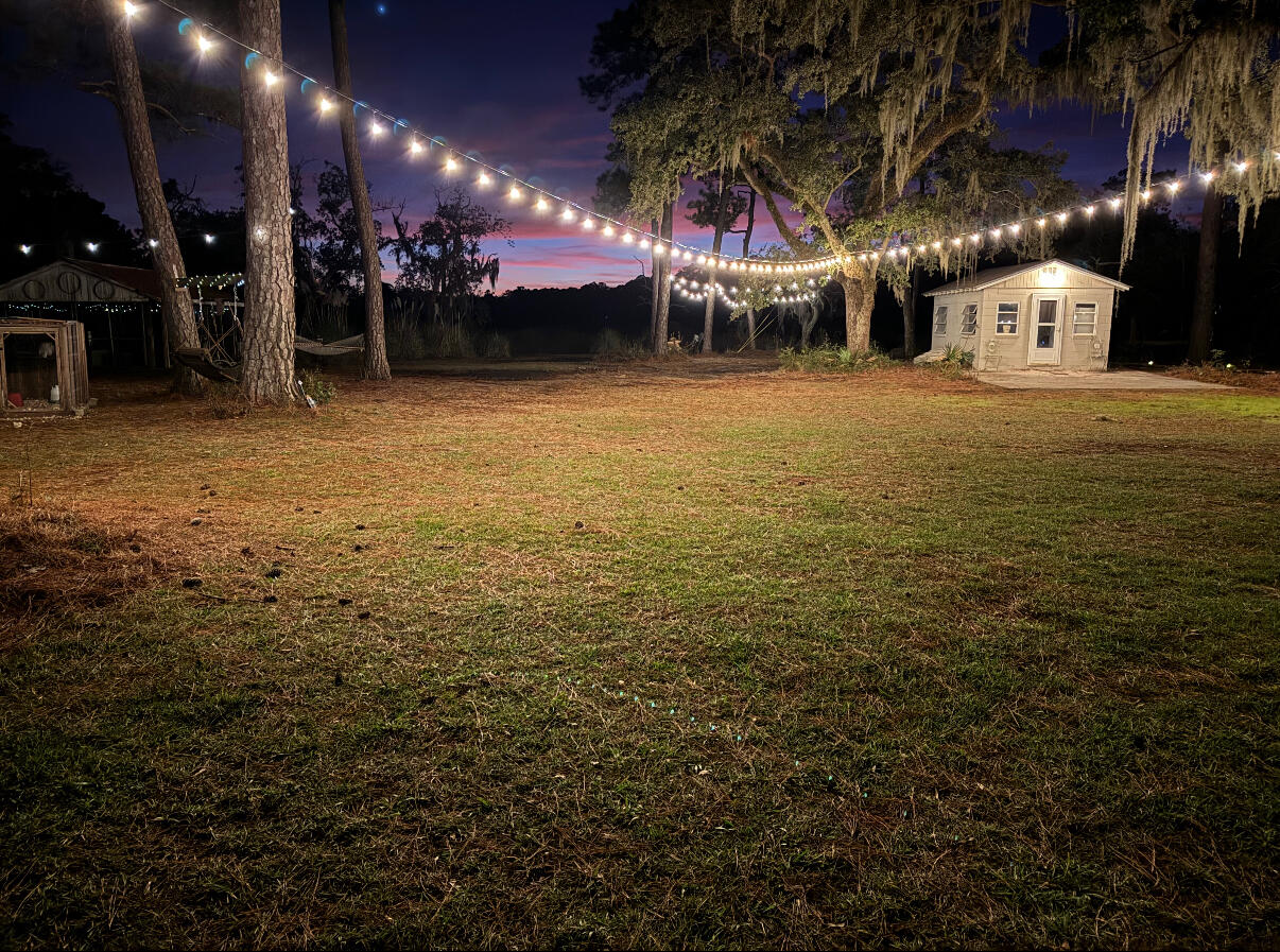 7262 Toogoodoo Road Meggett, SC 29449 - Photo 40 of 51 IMG_7769