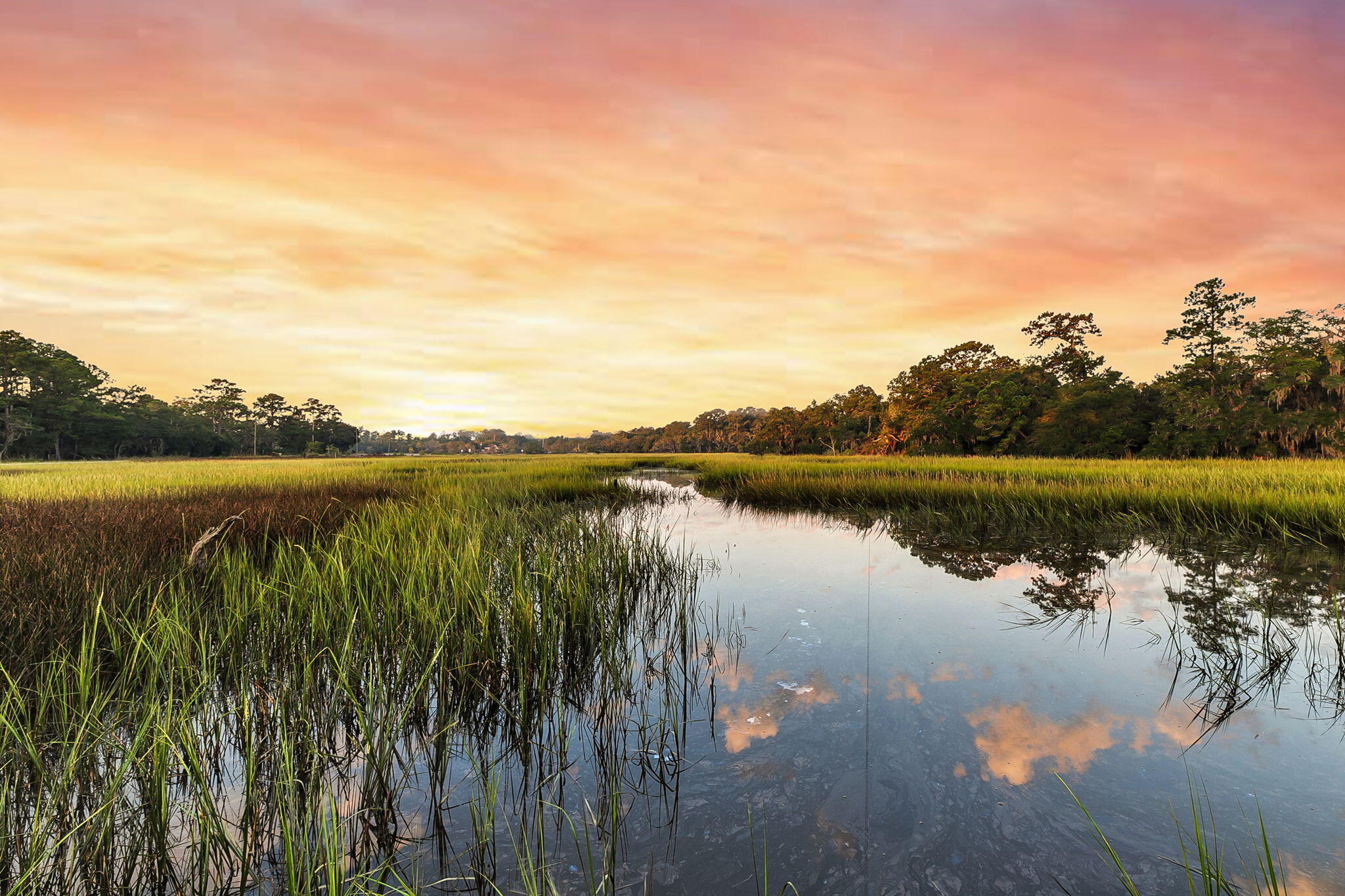 7262 Toogoodoo Road Meggett, SC 29449 - Photo 4 of 51 CREM - 7262 Toogoodoo Twilights-13