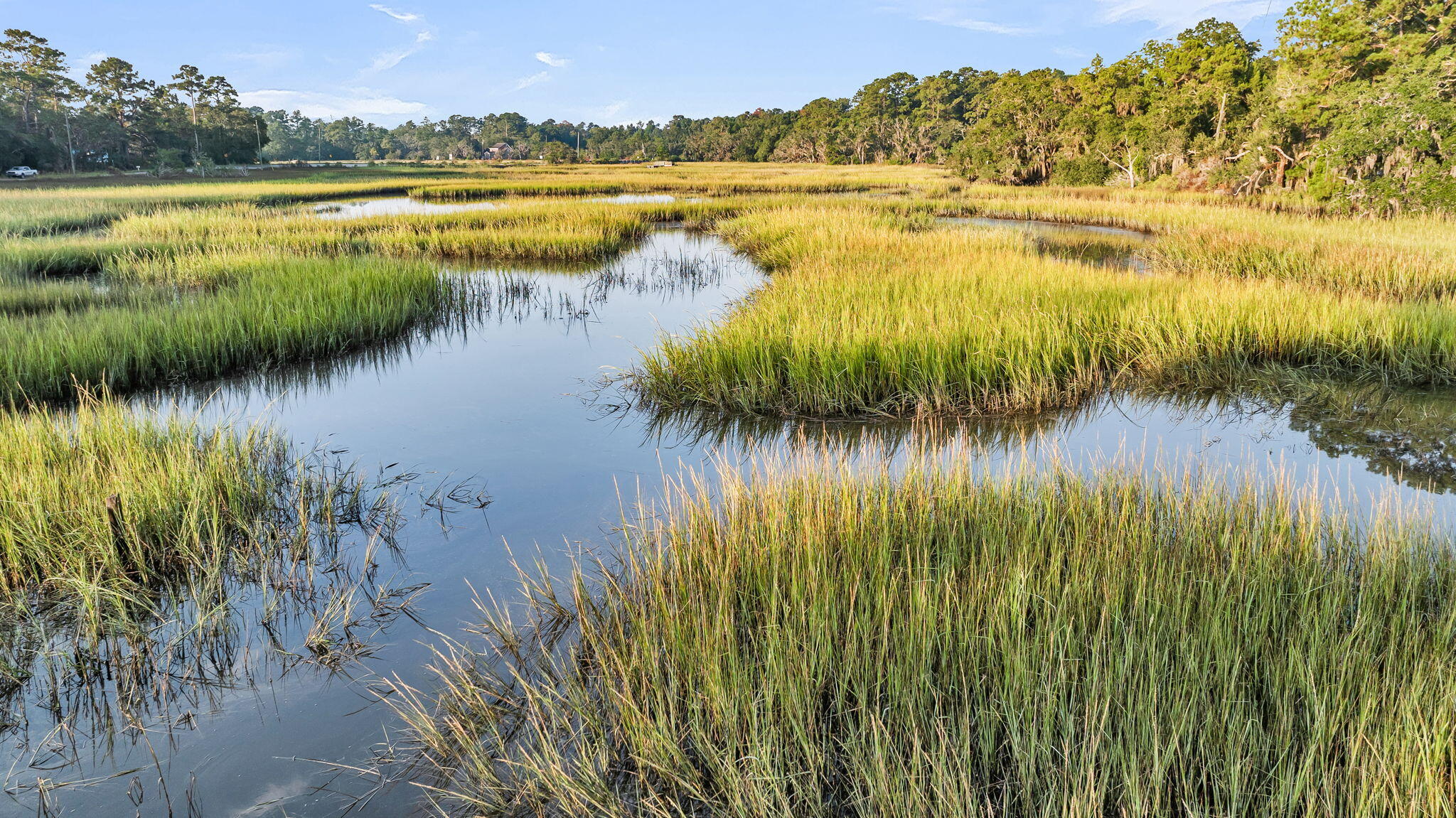 7262 Toogoodoo Road Meggett, SC 29449 - Photo 7 of 51 CREM - 7262 Toogoodoo + Aerials-17
