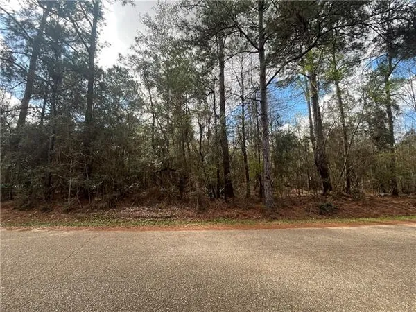 $110,000 | 103 Chenel Street, Folsom, LA 70437