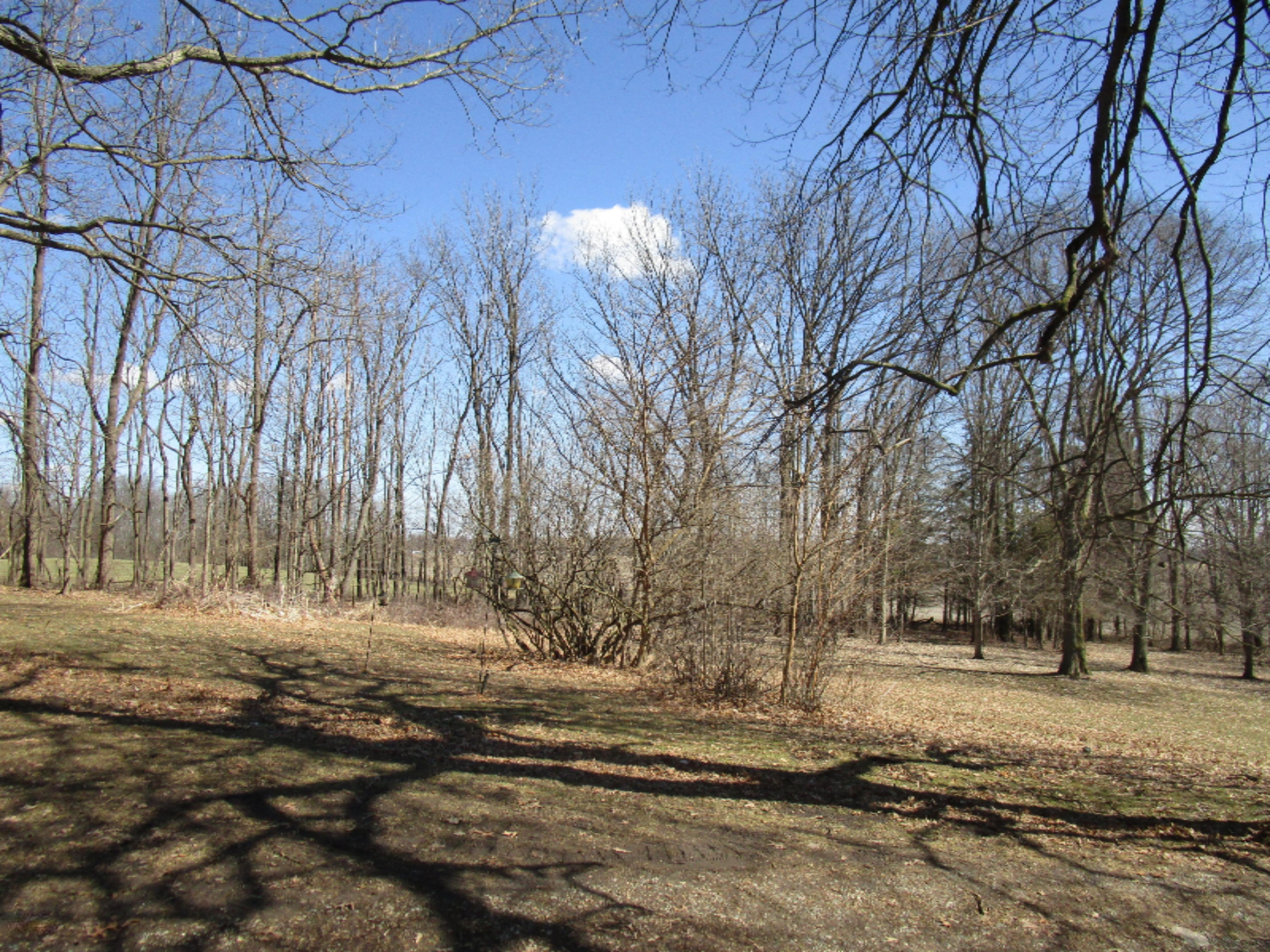158 Calkins Road Coldwater, MI 49036 - Photo 3 of 14 IMG_0976
