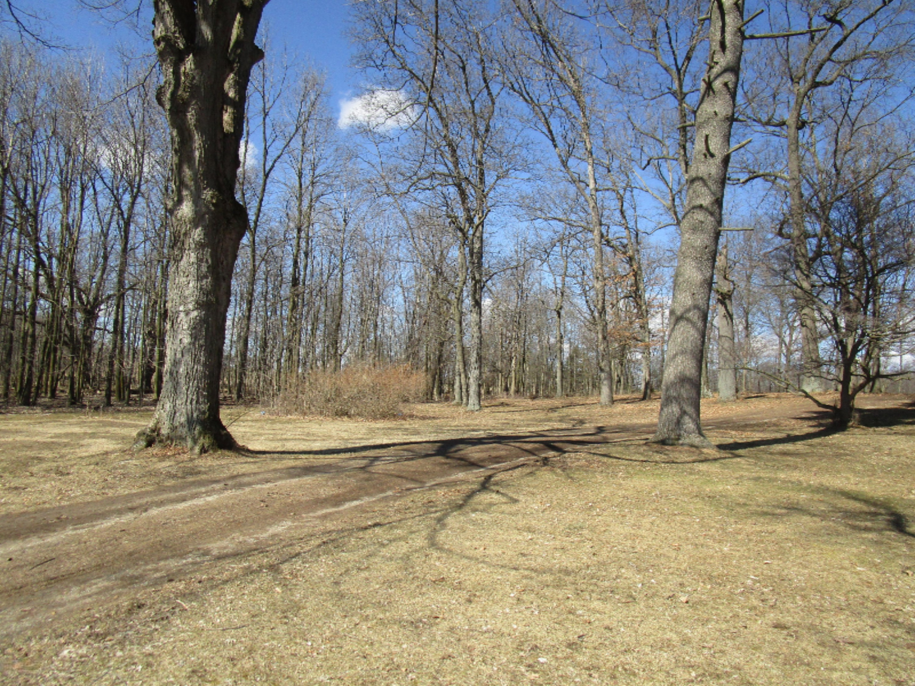 158 Calkins Road Coldwater, MI 49036 - Photo 8 of 14 IMG_0984