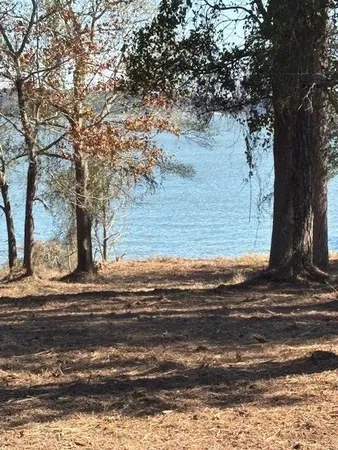 a garden view with a fountain