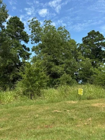 $230,000 | 1867 Farm To Market Road 3186, Onalaska, TX 77360