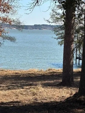 a view of a field with an trees