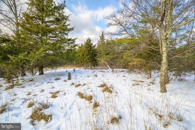 a view of a yard with plants and wooden fence