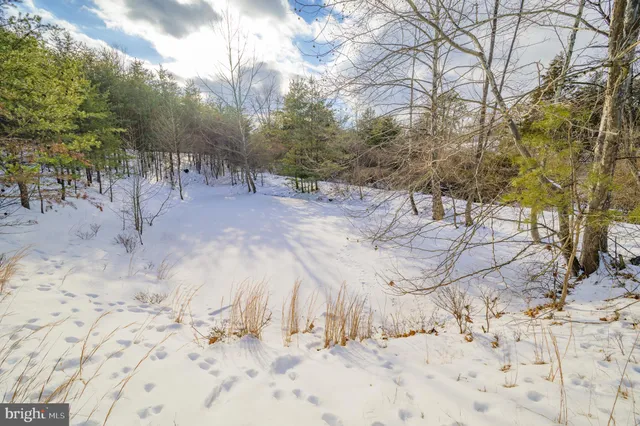 a view of a yard covered in snow