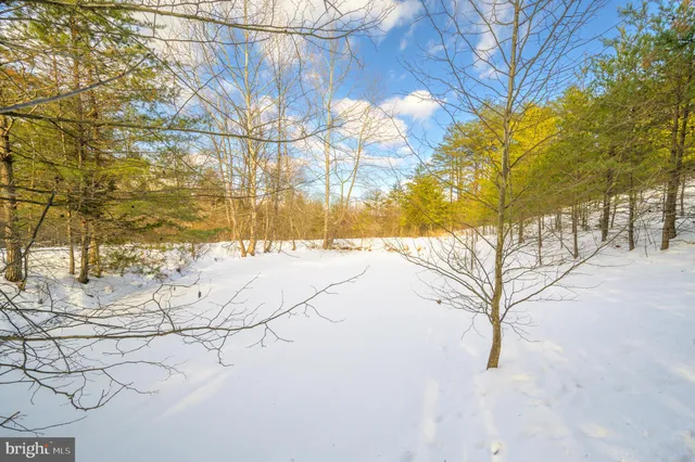 a view of a yard covered with snow in the back