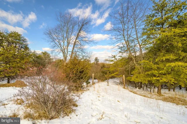 a view of yard covered with snow