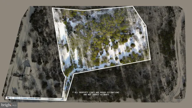 a view of covered with trees