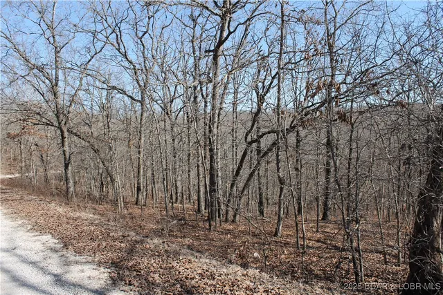 $6,750 | Moira Road, Unit 122, Edwards, MO 65326