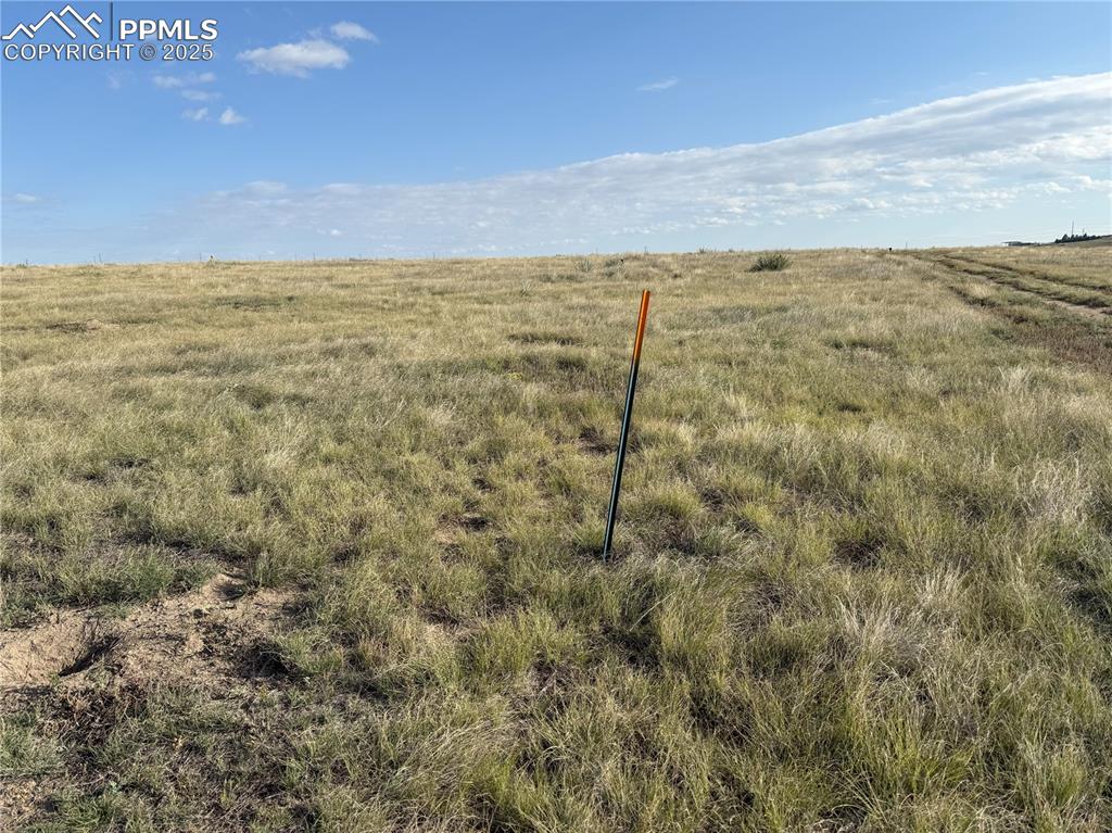 12325 Prairie Sun Point Colorado Springs, CO 80929 - Photo 2 of 15 a view of an ocean beach