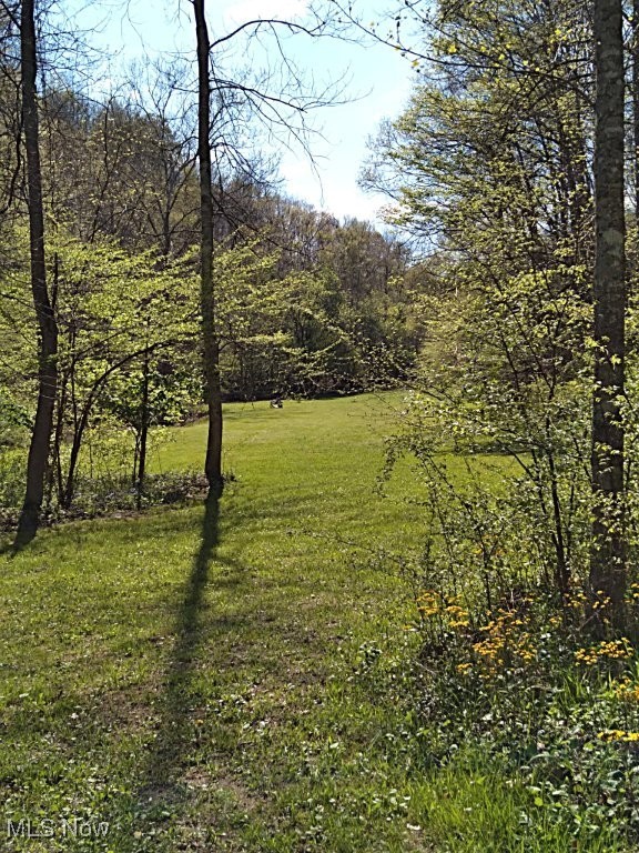 88 Ivy Road Walton, WV 25286 - Photo 27 of 37