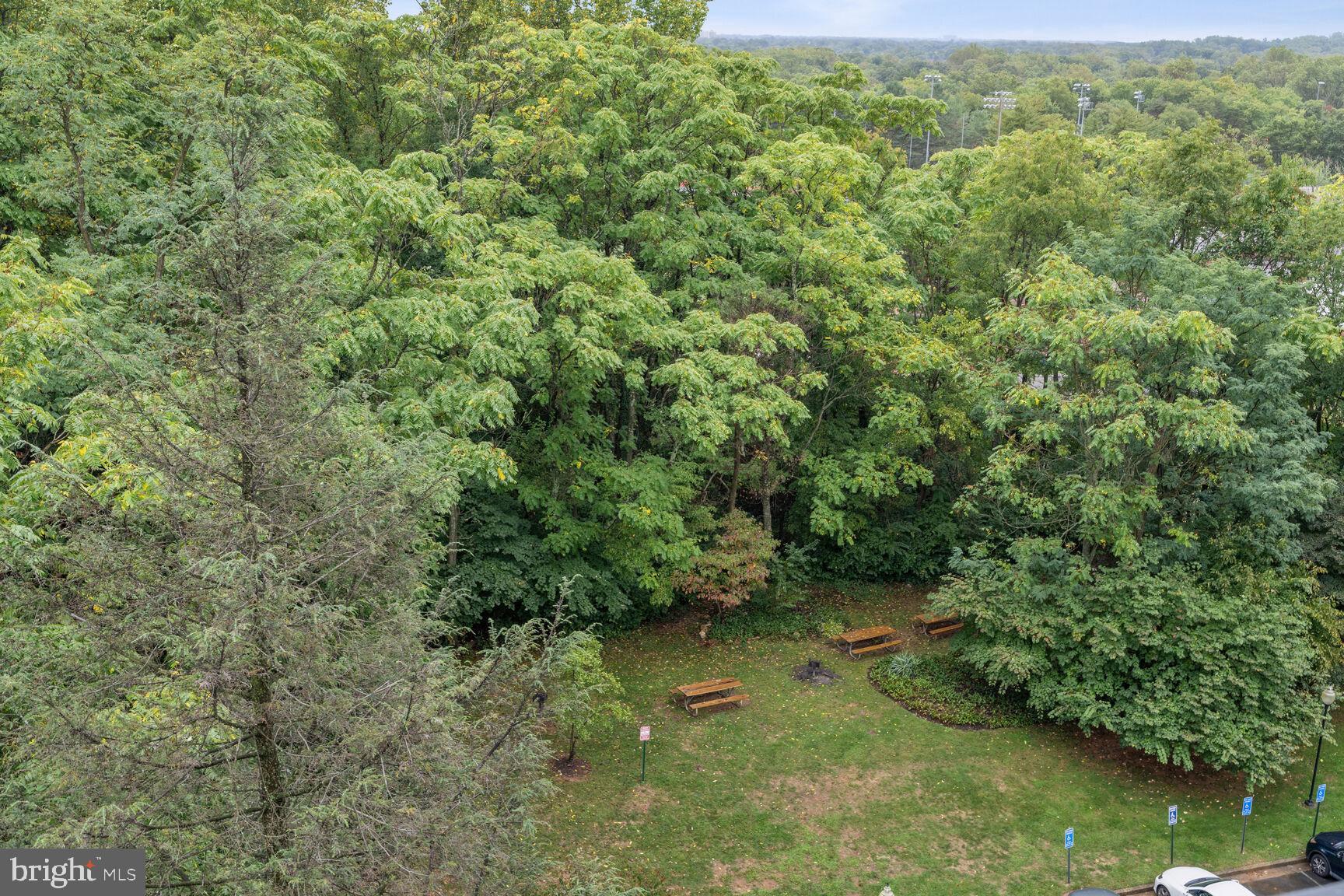 3245 Rio Drive, Unit 915 Falls Church, VA 22041 - Photo 14 of 31 a view of a forest with a street