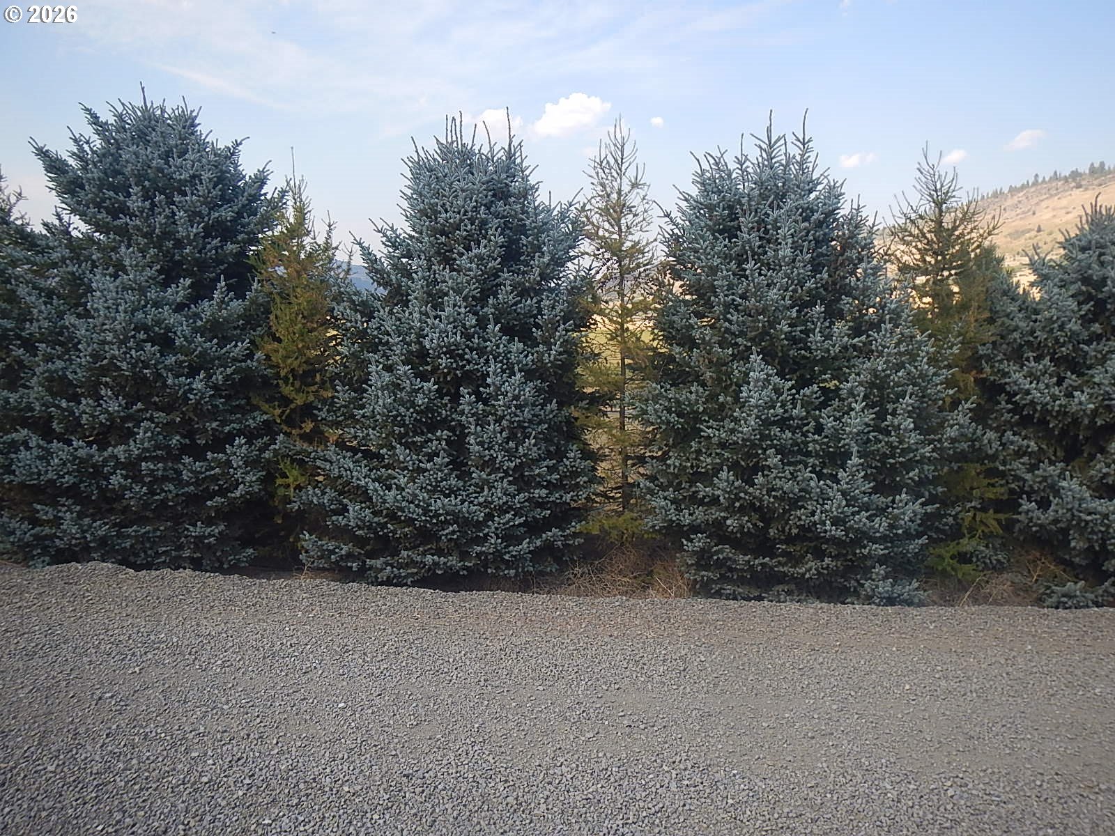 66104 Hull Lane Imbler, OR 97841 - Photo 2 of 10 a view of outdoor space and yard