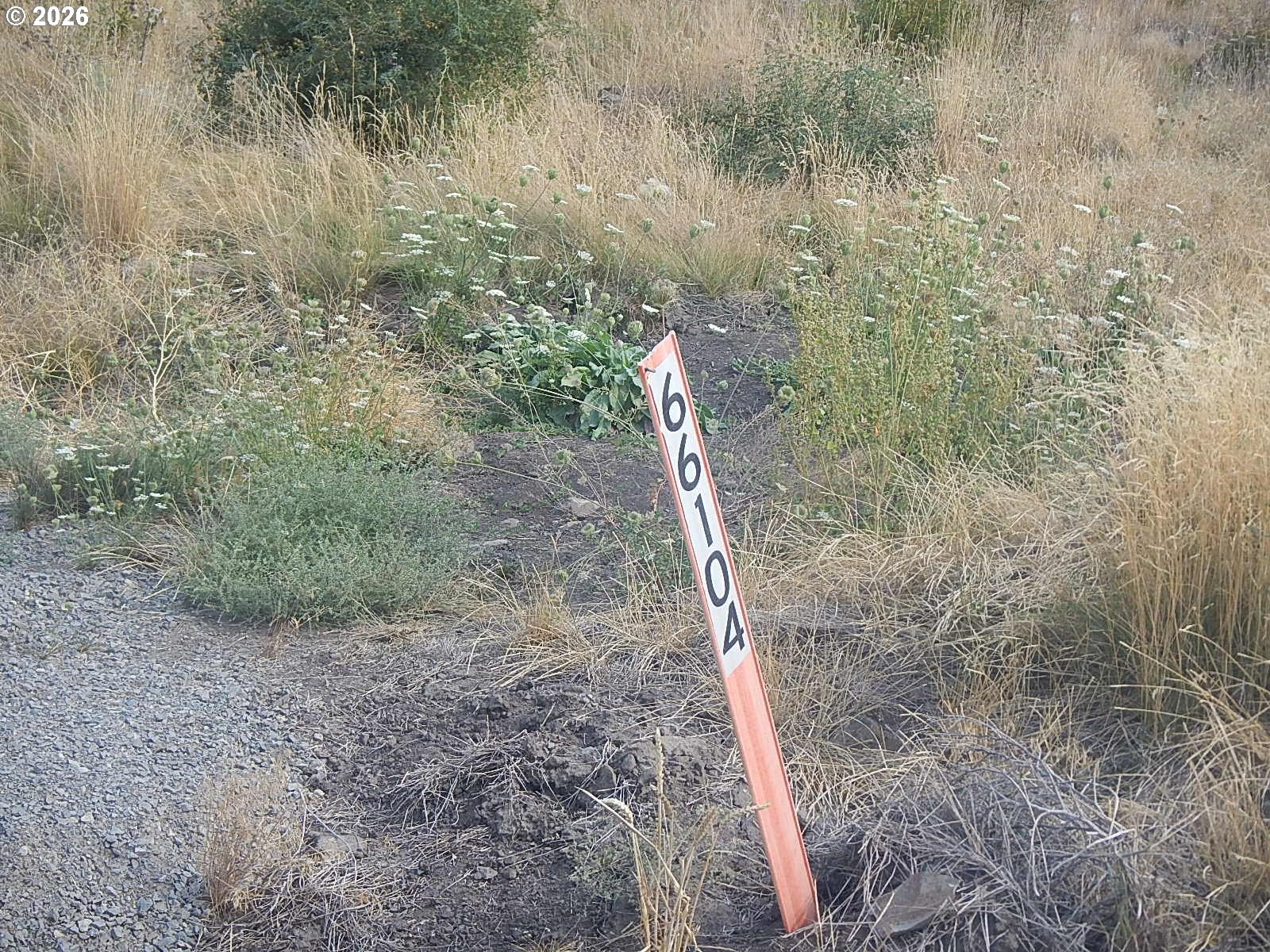 66104 Hull Lane Imbler, OR 97841 - Photo 4 of 10 a view of a dry yard with trees