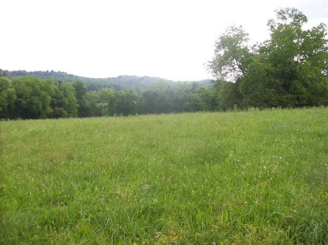 $329,900 | 0 Hwy 130 E Shelbyville Tn 37160, Wartrace, TN 37183