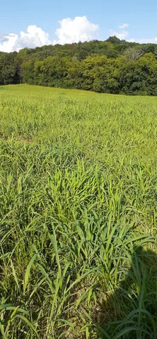 $329,900 | 0 Hwy 130 E Shelbyville Tn 37160, Wartrace, TN 37183