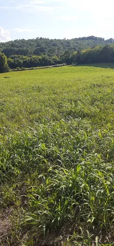 $329,900 | 0 Hwy 130 E Shelbyville Tn 37160, Wartrace, TN 37183