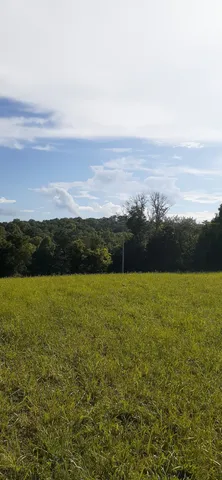 $329,900 | 0 Hwy 130 E Shelbyville Tn 37160, Wartrace, TN 37183