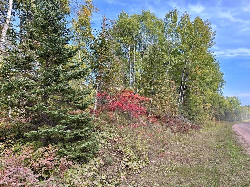 Tbd Old Vermilion Trail Duluth, MN 55803 - Photo 3 of 19