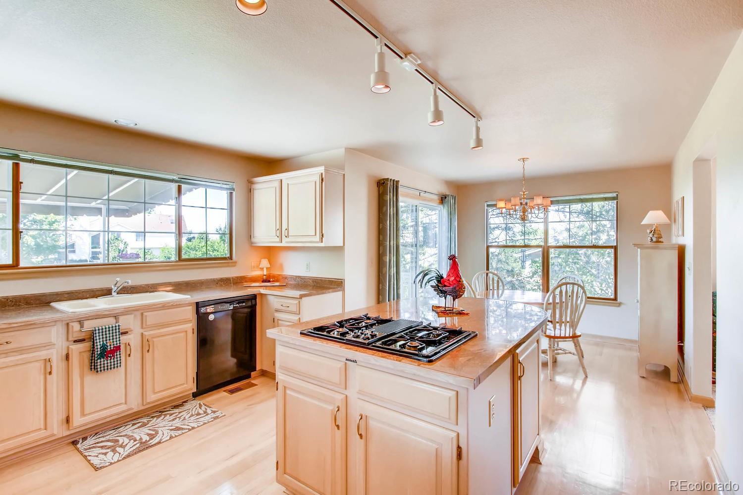 9389 Prairie View Drive Highlands Ranch, CO 80126 - Photo 17 of 34 Gallery Image 17