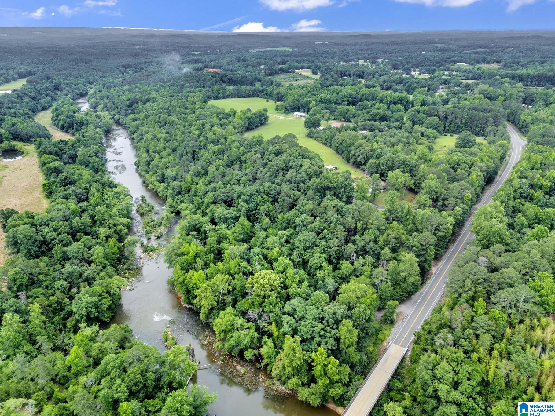 15920 Highway 160 Cleveland, AL 35049 - Photo 43 of 57
