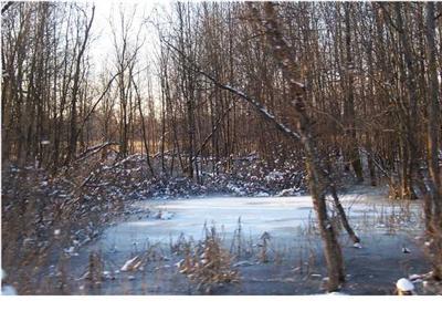11282 South Stevenson Road Fenwick, MI 48834 - Photo 3 of 4 Additional Photo