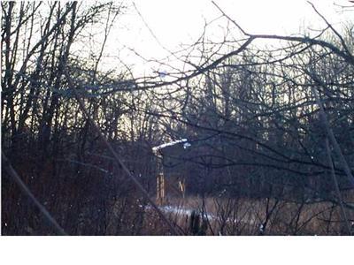 11282 South Stevenson Road Fenwick, MI 48834 - Photo 4 of 4 Additional Photo