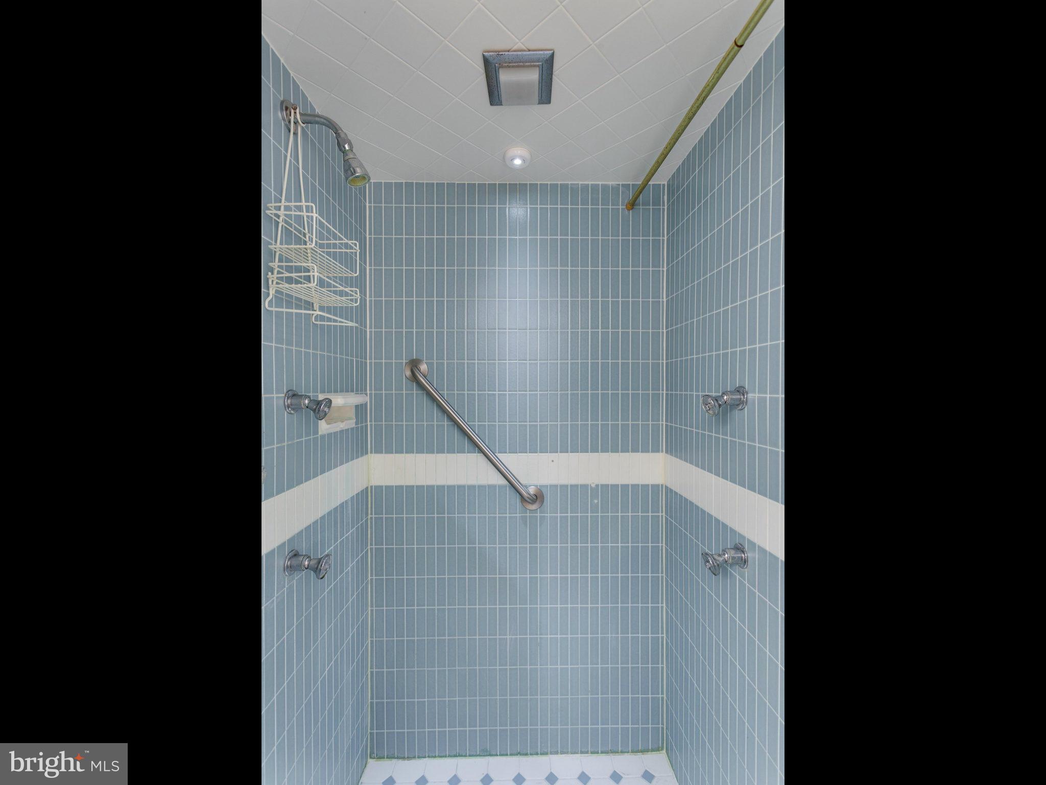 416 North Houcksville Road Hampstead, MD 21074 - Photo 21 of 30 Master Shower w/Body Sprays
