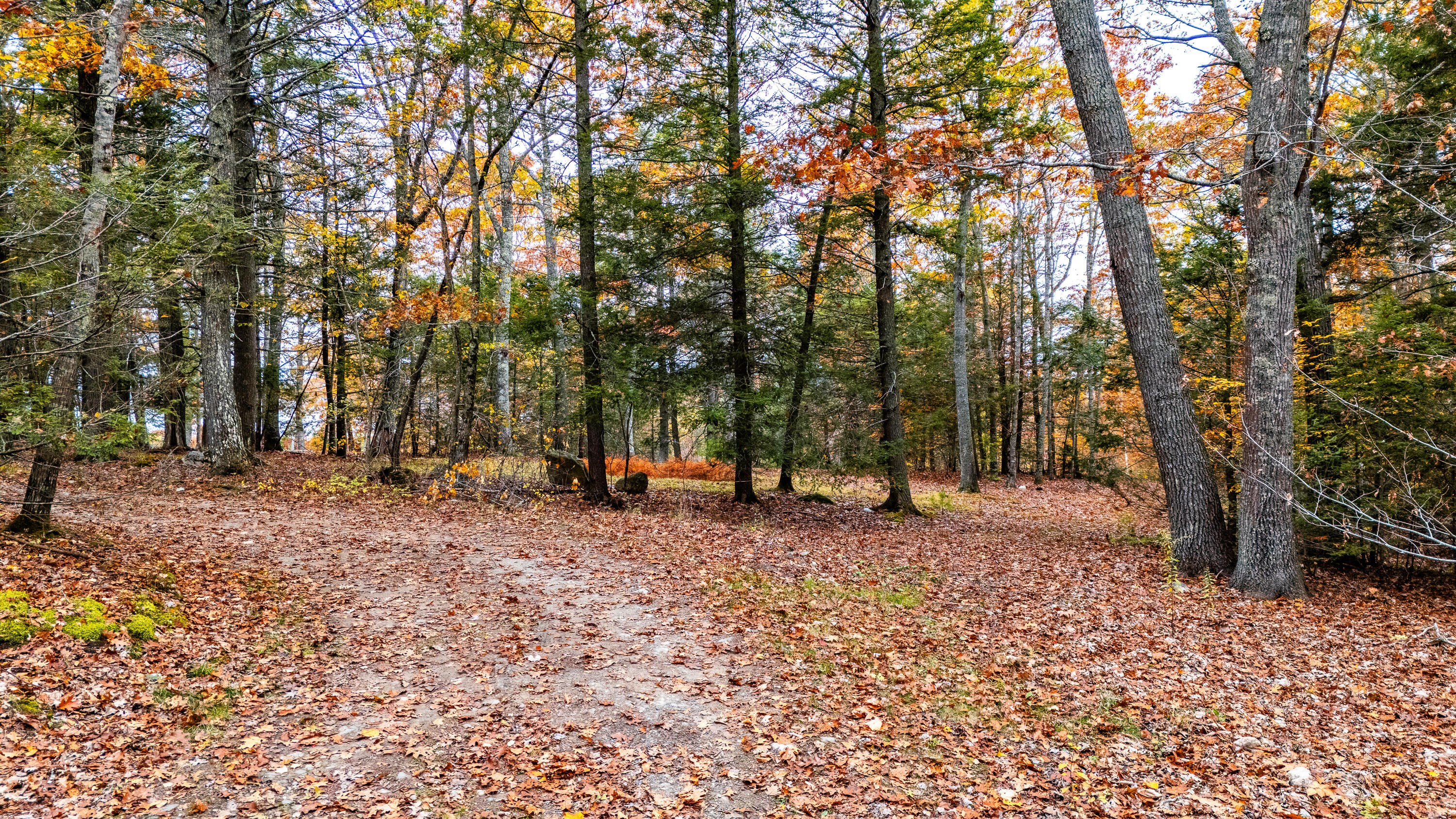 Lot#4 Bay View Trail Edgecomb, ME 04556 - Photo 16 of 48