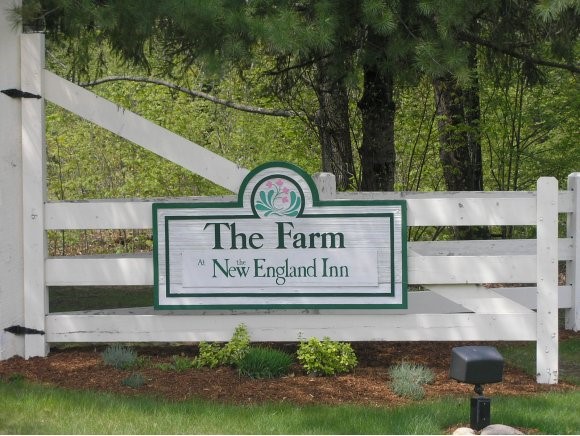 6 The Farm, Unit 6 Intervale, NH 03845 - Photo 1 of 1 Gallery Image 1