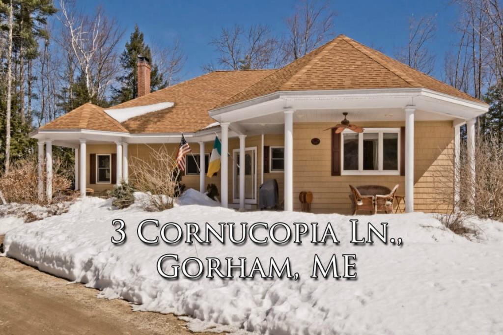 3 Cornucopia Way Gorham, ME 04038 - Photo 1 of 35 Photo