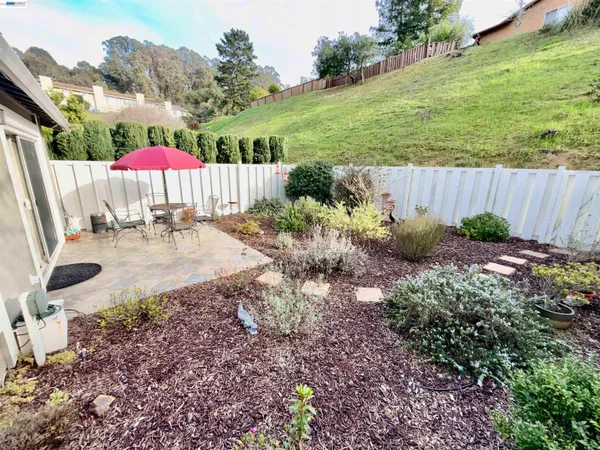 a view of a backyard with plants