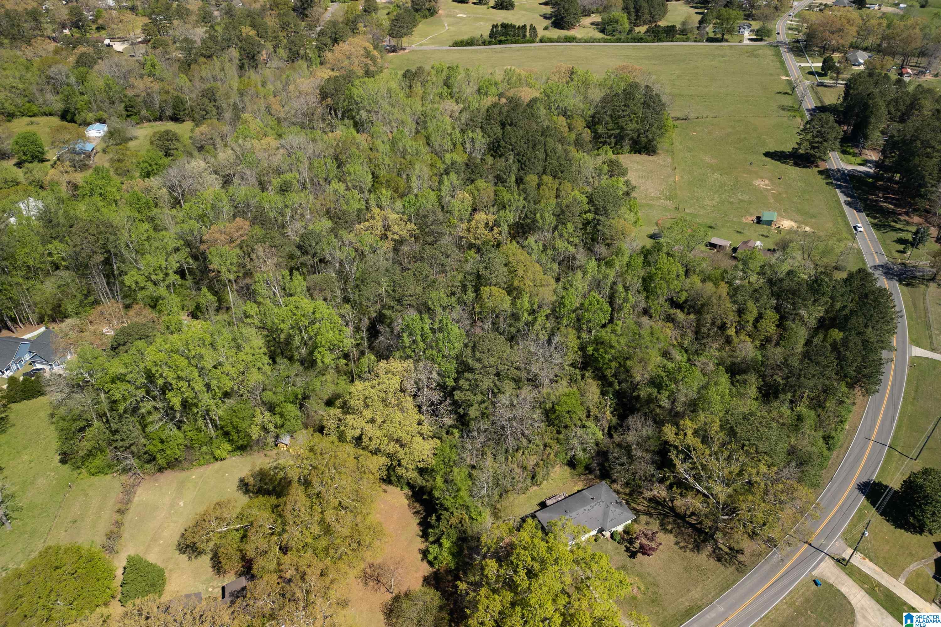 1044 Morris Majestic Road Morris, AL 35116 - Photo 3 of 13