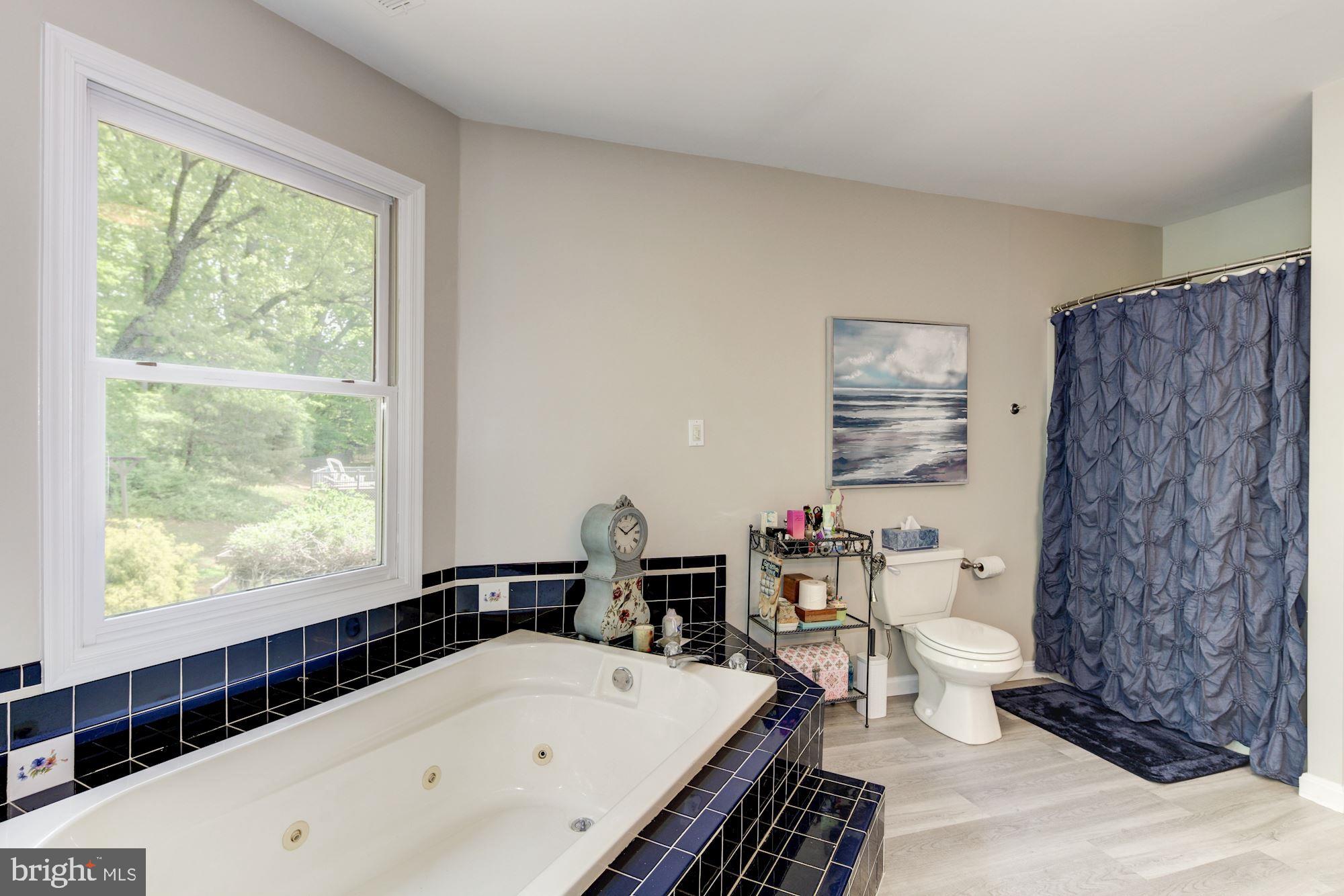 2307 Laurel Bush Road Abingdon, MD 21009 - Photo 26 of 45 Master Bathroom