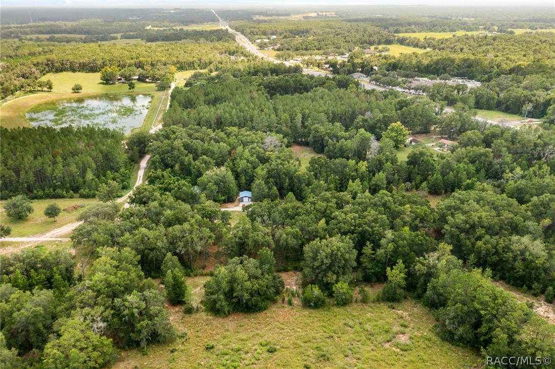 810 North Obrien Point Lecanto, FL 34461 - Photo 44 of 54