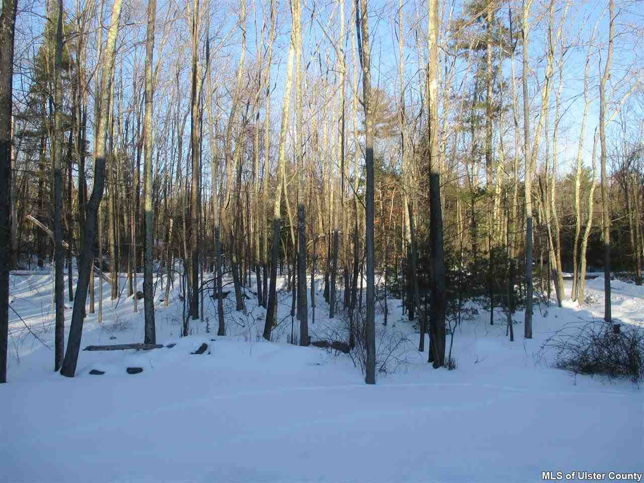 514 Upper Samsonville Road Olivebridge, NY 12461 - Photo 26 of 27 View from front door to street