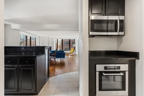 $495,000 | 40 East Delaware Place, Unit 1502, Chicago, IL 60611