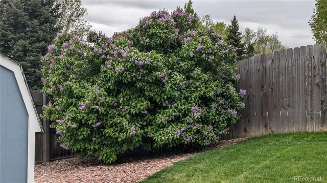 $442,000 | 1786 Wintergreen Place, Loveland, CO 80537