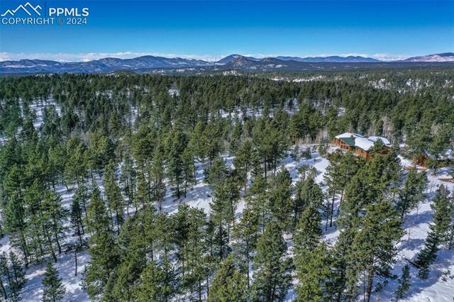 4155 Cedar Mountain Road Divide, CO 80814 - Photo 39 of 43 Gallery Image 39