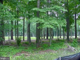 27 Drawbridge Road Ocean Pines, MD 21811 - Photo 4 of 5