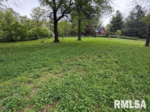 4231 Stone Road Springfield, IL 62707 - Photo 73 of 85