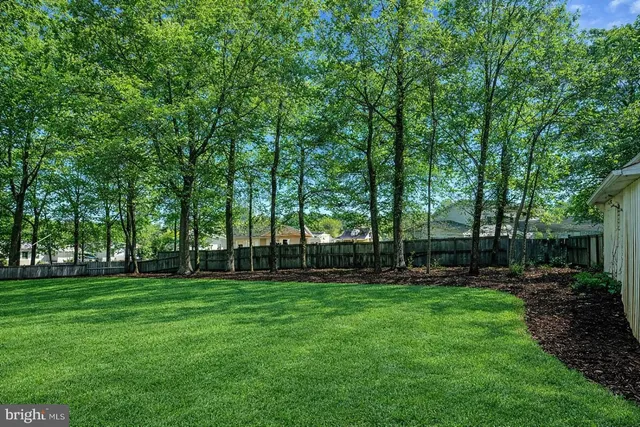 a backyard of a house with lots of green space and trees