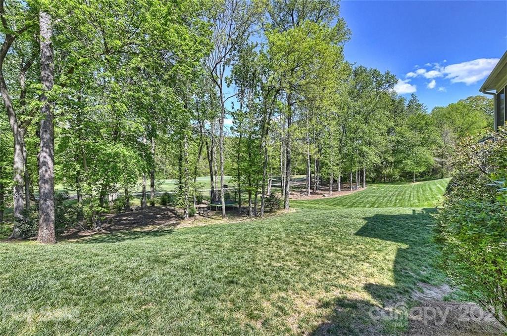18731 River Falls Drive Davidson, NC 28036 - Photo 43 of 45 a view of a park with large trees